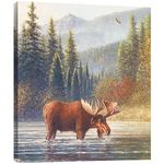 Tree-Free Greetings EcoArt Home Decor Wall Plaque, 11.25 x 11.25 Inches, River Moose Themed Wildlife Art (81062), 11.25" by 11.25"