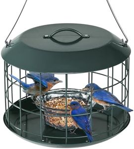 Kingsyard Bluebird Feeders for Outdoors Hanging, All Metal, Cage Mealworm Bird Feeder with Tray, Large Bird & Squirrel Proof, Easy to Refill & Clean (Green)