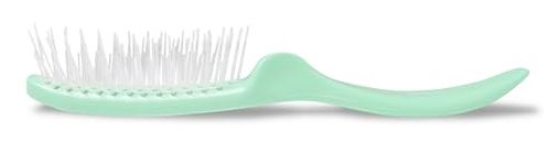 Stanley Home Products Essentials Style Glider Hairbrush – Detangles - Use on Wet or Dry Hair – Fresh Mint Color