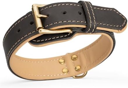 Viper Royal Padded Leather Dog Collar with Nappa Leather Lining – Luxurious Comfort & Robust Full-Grain Leather Design, 1.5in (38mm) Wide | Premium Quality for Medium, Large & Giant Breeds