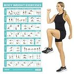Vive Bodyweight Exercise Poster - W