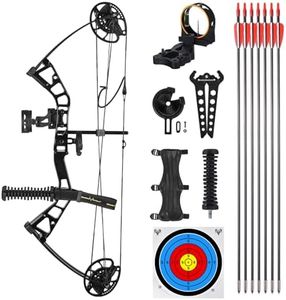 Lanneret Youth Compound Bow Package for Youth & Kids,Beginners and Women,10-40 Lbs Draw Weight,16"-28" Draw Length,290fps，Compound Bow Kit for Beginner