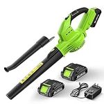 Leaf Blower Cordless with Battery a