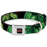 Buckle-Down DC-WAV014-WS 13-18""AVD-Marvel Marvel Avengers Dog Collar, Wide Small