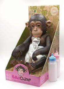 Baby Chimp