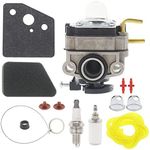 Masnln Carburetor Carb for Troy Bilt TB516EC 516EC 29cc 4 Stroke Edger String Trimmer Engine with 753-05996 Air Filter Kit