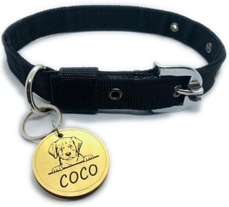 Pawpro Adj