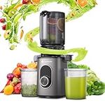 AAOBOSI Juicer Machines with 4.3" Wide, Cold Press Juicer with Reverse Function, Masticating Juicer for Whole Fruits and Vegetables, BPA Free, Juice Maker with 2 Cups, Easy to Clean, Brush Included