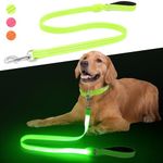 Led Dog Leash, 4 Ft Light Up Dog Leash Rechargeable Waterproof, Nylon Leashes with Padded Handle for Night Walking, Safety Glow in The Dark Dog Leash for Large Medium Small Pets (Green)