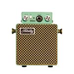 Hibilly Dull3 Mini Guitar Amplifier Rechargeable Guitar Compact and Pocket Amp for Professional Performances and Practice Sessions (Newborn Green)