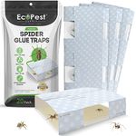 Spider Trap – 20 Pack | Sticky Indoor Glue Traps for Spiders and Other Bugs and Crawling Insects | Adhesive Spider Bait Trap, Monitor, Killer and Detector for Pest Control