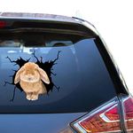 Rabbit Sticker Bunny Decal Car Cool 3D Trucking Atickers for Coolers Vynil Glass Decal