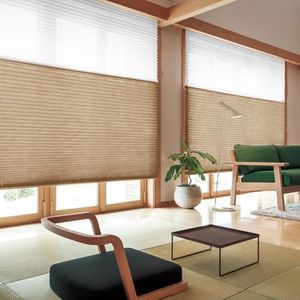 ZSHINE Motorized Day and Night Cellular Shades Full Blackout Fabric Window Shades for Home, Office, Hotel, Club, Restaurant Custom Made Size (Dark Brown)