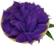 YellowCult Natural Real Dried Leaves for Art Craft [Pack of 50 Big Size Skeleton Leaves] for Decorative DIY Craft, Soap, Candle, Scrapbooking, DIY, Resin Jewelry, Pendant [Purple]