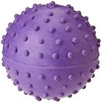 Classic for Dogs Pimple Ball with B