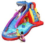 Inflatable Shark Slide _9417