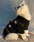 BOBIBI pet Knit cat Sweater, cat Cold Warm Clothing, pet Sweatshirt