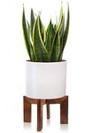 Wood Plant Stand, Mid Century Modern Planter Stand Rattan Flower Pot Stand, Low Short Plant Stands Indoor - Boho Rustic Wooden Stool for Plant Pot Holder, Fit 5-15 Inch Pot