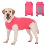 Axcimond Dog Recovery Suit Dog Onesie After Surgery Female Male Small Medium Large Dogs Surgical Recovery Suit Doggie Onesie Prevent Licking Spay Suit Chien Post Operation Dog Cone Collar Alternative