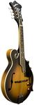 Washburn M3E Mandolin Pack with F-S