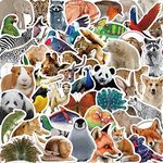 Cute Animal Stickers, Zoo Animals S