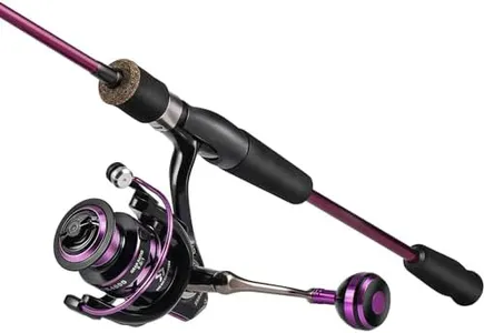 Sougayilang Spinning Combo, Stainless Steel Guides 2 Pieces Fishing Rod and Reel Combo, Purple Fishing Pole with Spinning Reel Set for Crappie Trout-1.8m-2000