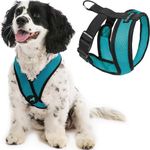 Gooby Comfort X Head in Harness - Turquoise, Large - No Pull Small Dog Harness, Patented Choke-Free X Frame - On The Go Dog Harness for Medium Dogs No Pull or Small Dogs for Indoor and Outdoor Use