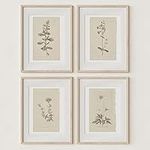 Wall Art Botanical Plant Prints | V