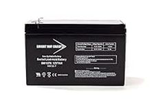 Bright Way Replacement Battery for 