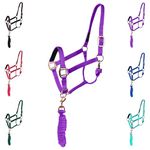 Majestic Ally Halter with Lead Rope for Horses–Adjustable Chin and Crown–Rolled Throat Latch with Replaceable Snap–Padded Noseband–Heavy Duty Rose Gold Finish Hardware–Full (Purple, Full)