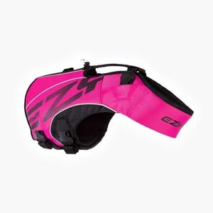 EzyDog DFD