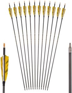 GQT traditional arrows，Pure Carbon Arrows 12-Pack 300/500/600 Spine Length 30" 6.2mm ID 0.003" Straightness 4" Turkey Feathers Replaceable Arrowheads Arrow Pin Nock for Recurve and Longbow (Spine 300)