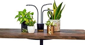 AeroGarden Trio Grow Light for Indo