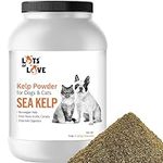 Organic Sea Kelp Powder for Dogs (7