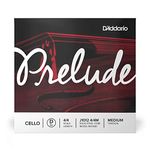 String Cello D Prelude 4/4 med