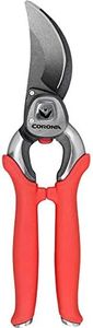 Corona BP 