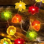 iwiio Autumn Lights, Autumn Decorations 3D Pumpkin Maple Leaves Acorns String Lights, Battery Operated with Remote 10ft 30 LEDs Orange Fall Lights for Thanksgiving,Halloween