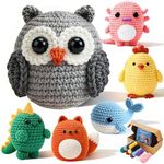 Joyclub 6 Pcs Crochet Kit for Begin