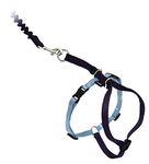 PetSafe Come With Me Kitty Harness and Bungee Leash, Harness for Cats, Large, Black/Silver