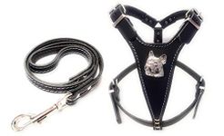 M&D Beautiful Black Leather Dog Harness and Leash with French Bulldog Head Motif and Matching Leather Lead