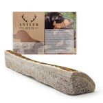 Antler Chew - Eeasy Chew Split Deer Antlers for Dog (30-40g, From 7cm) for Small Dogs and Puppies, Natural Dog Treat Toy, Puppy Teething Chew, Sustainable, Naturally Shed