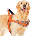 ADVENTUREMORE Dog Harness for Large Dogs No Pull, Sport Dog Halter Harness Reflective Breathable Dog Vest Escape Proof Dog Harness with Easy Control Front Clip Handle for Training Walking XL Orange