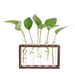 Hyindoor Desktop Glass Planter Propagation Station Wall Mounted Hanging Test Tube Vase with Wooden Stand Rack Terrarium Planter for Hydroponic Plants Cutting Office Home Decoration