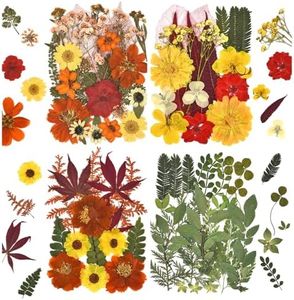 DALARAN 75 PCS Orange Natural Dried Flower for Soap Making, Candle Making and Resin Jewelry Making Pressed Flower Art Floral Decors