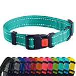 CollarDirect Reflective Dog Collar for a Small, Medium, Large Dog or Puppy with a Quick Release Buckle and Padding - Boy and Girl (Mint Green, 7''-11'')