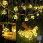 Outdoor Backyard String Lights