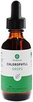 Neurogan Chlorophyll Liquid Drops - 100% All-Natural Concentrate – Energy Booster, Digestion and Immune System Support - 120 Servings