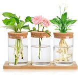 Lawei 3 Pcs Plant Terrarium Propagation Stations, Tabletop Glass Planter Water Planting Glass Vase with Wooden Tray, Clear Glass Jars Containers for Grow Hydroponic Plants Home Office Decoration