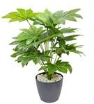 Fourwalls Beautiful Artificial Miniature PVC Silk Floor Plant with Big Leaves and Without Pot (18 Leaves, 65 cm Tall, Green)