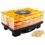 Fruit Dehydrator Machine